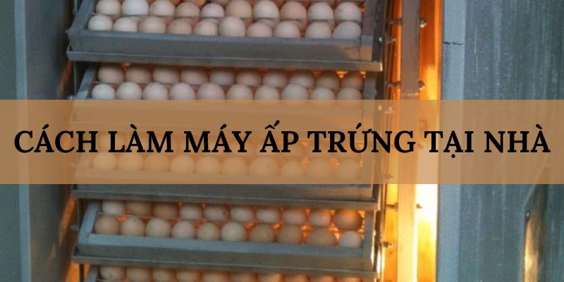 Banner www.palama.vn