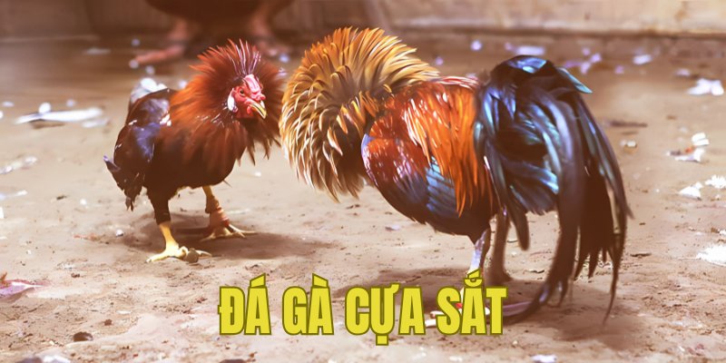 Banner www.palama.vn