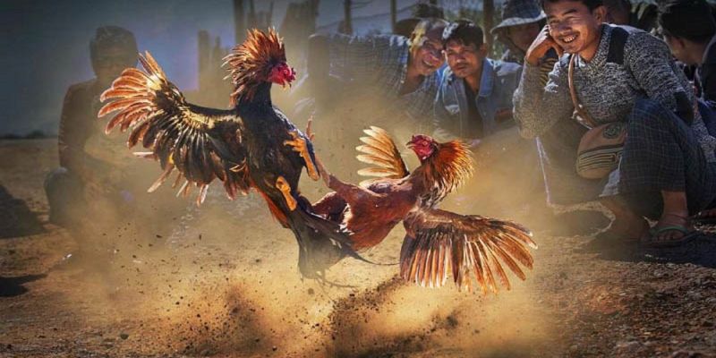 Banner www.palama.vn