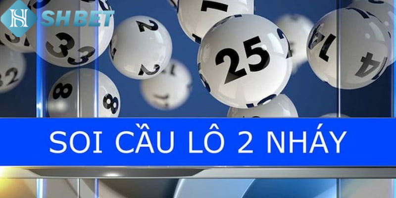 Banner www.palama.vn