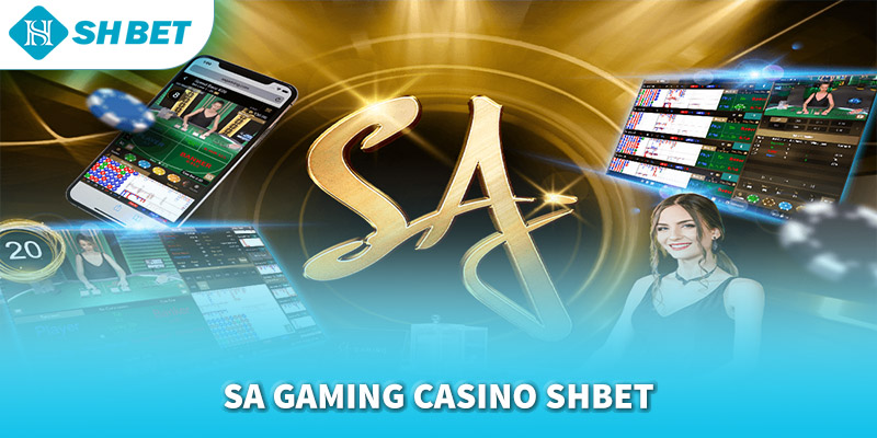 Banner www.palama.vn