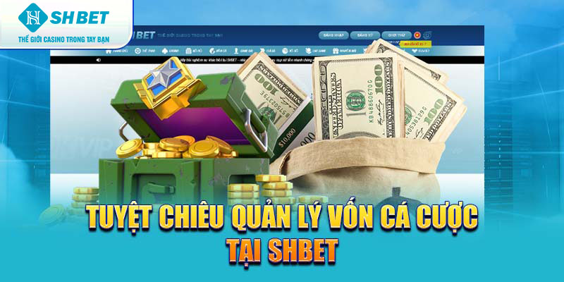 Banner www.palama.vn