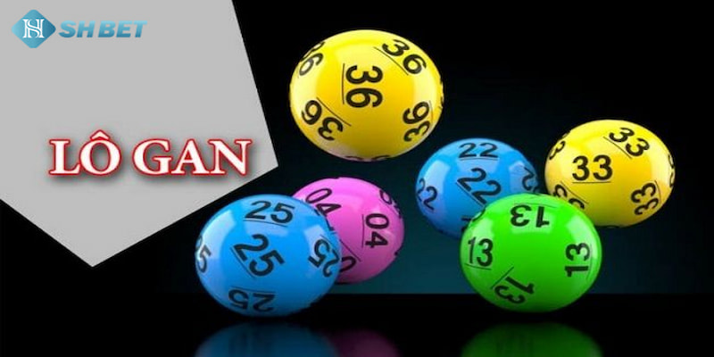 Banner www.palama.vn