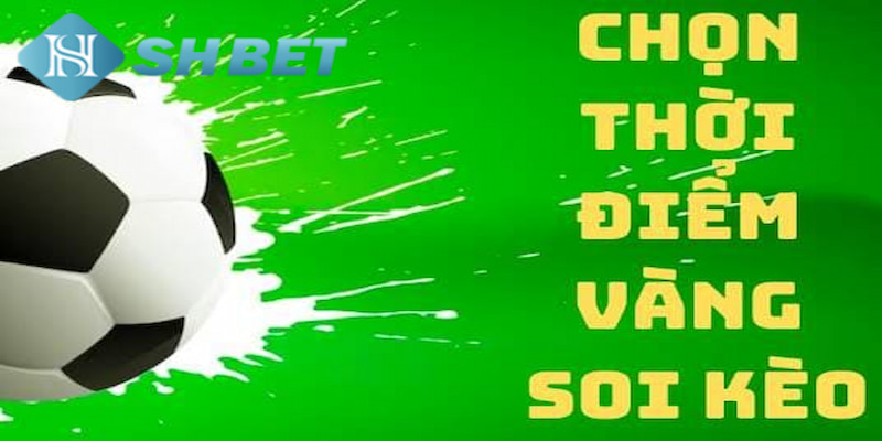 Banner www.palama.vn