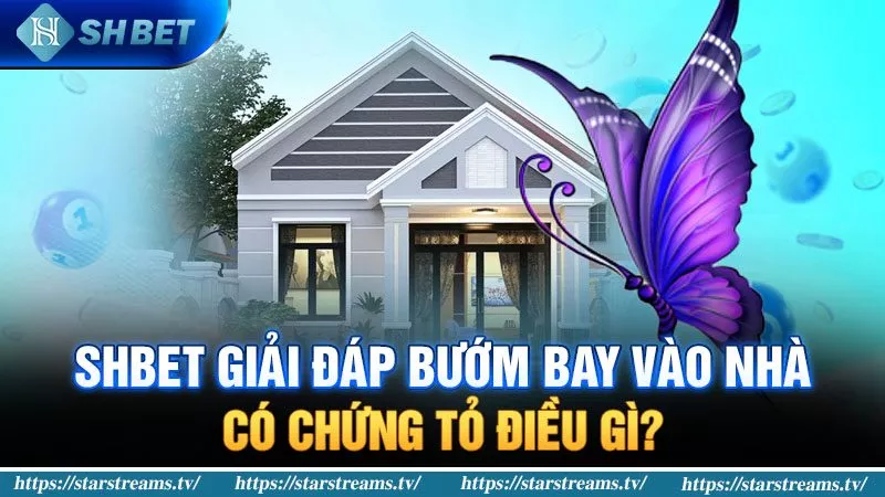 Banner www.palama.vn