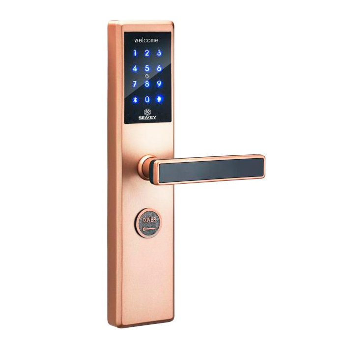 Khóa điện tử Seakey P2B