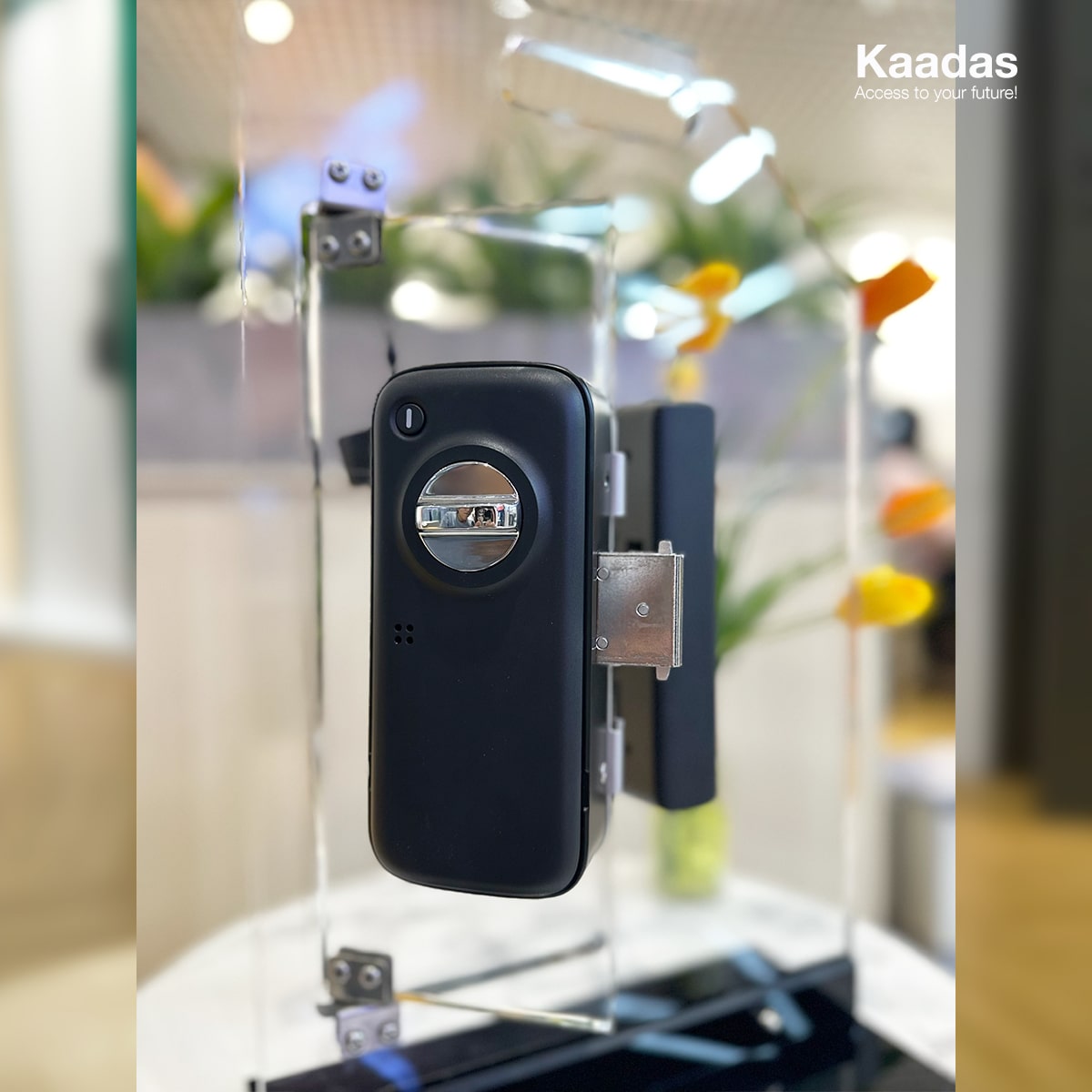 Khóa cửa thông minh Kaadas R8