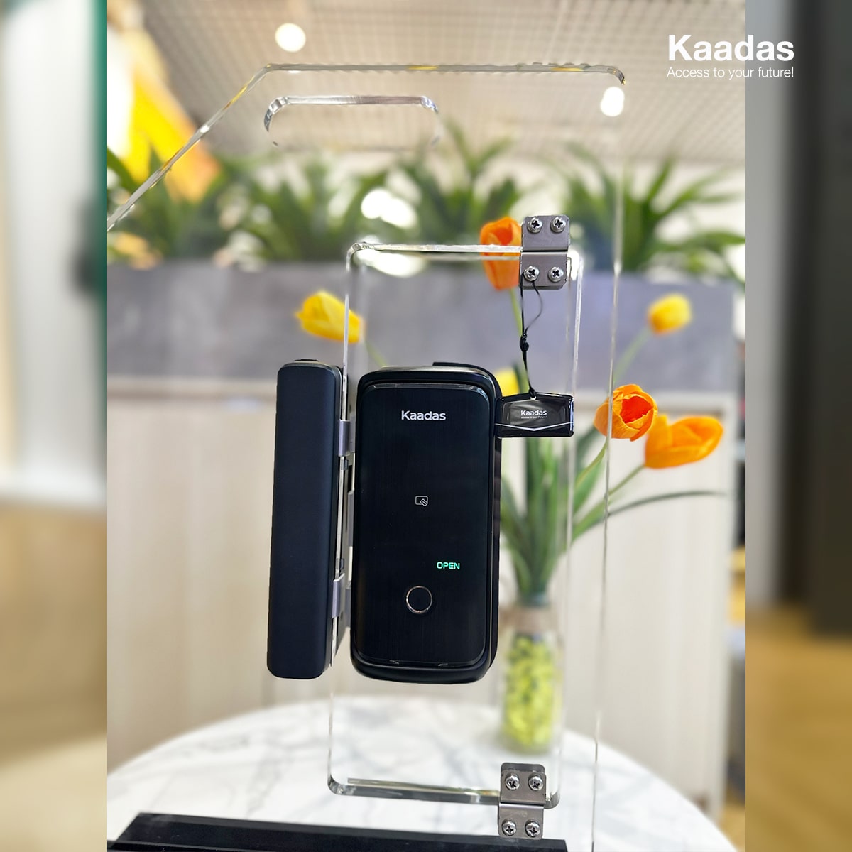 Khóa cửa thông minh Kaadas R8